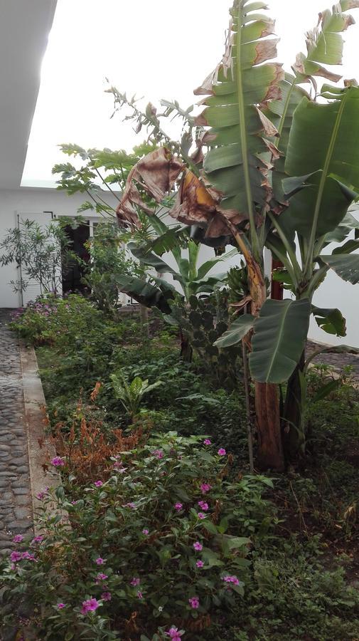 Villa Sao Jose Pedra Badejo  Ngoại thất bức ảnh